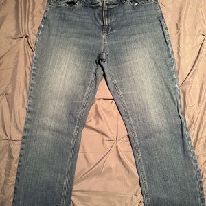 L.L. Bean Blue Denim Straight-Leg Jeans